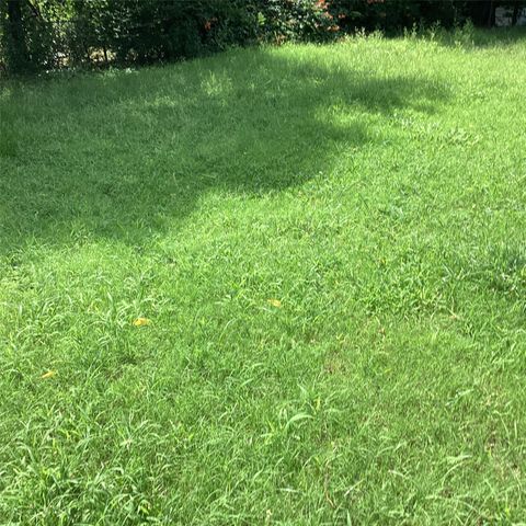 1506 S Travis Street, Denison, TX 75021