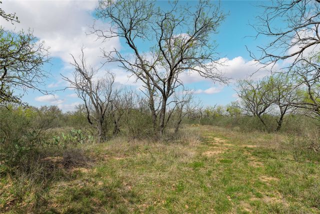 496 County Road 198, Brownwood, TX 76801
