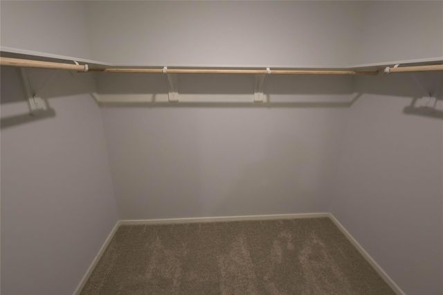 3020 Colusa Ridge Dr Drive, Katy, TX 77493