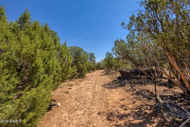 3346 BEAR HEIGHTS Road -, Heber, AZ 85928