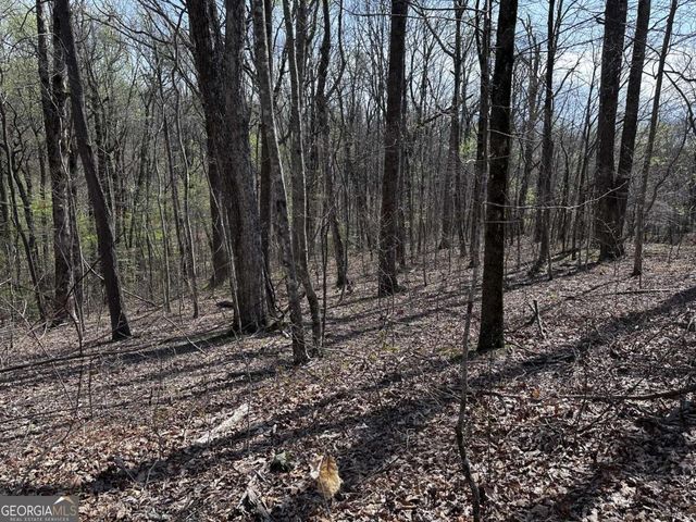 189 St Andrews Way, Ellijay, GA 30536