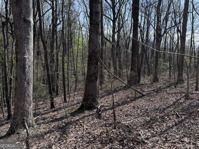 189 St Andrews Way, Ellijay, GA 30536