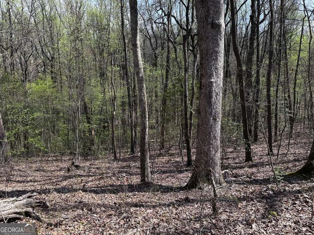 189 St Andrews Way, Ellijay, GA 30536