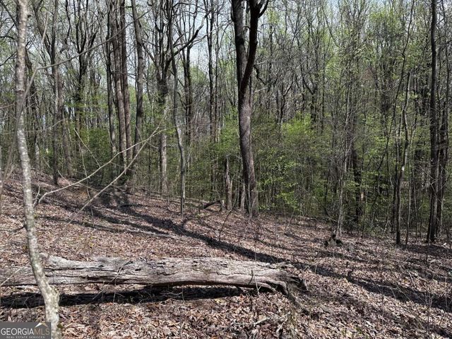 189 St Andrews Way, Ellijay, GA 30536