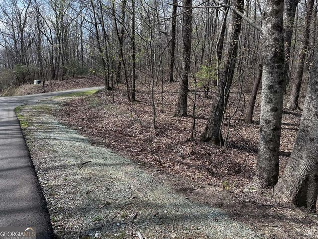 189 St Andrews Way, Ellijay, GA 30536