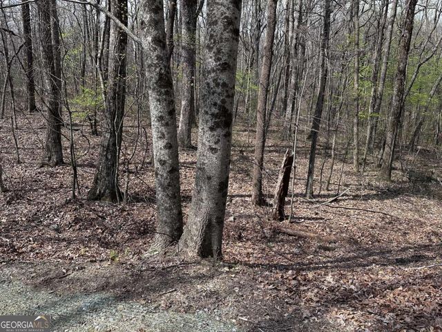 189 St Andrews Way, Ellijay, GA 30536