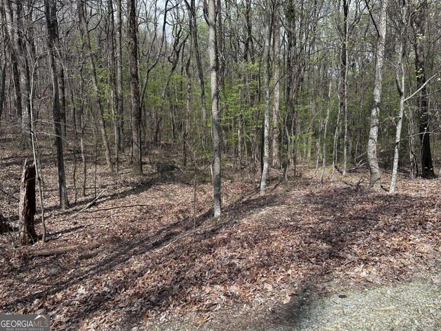 189 St Andrews Way, Ellijay, GA 30536