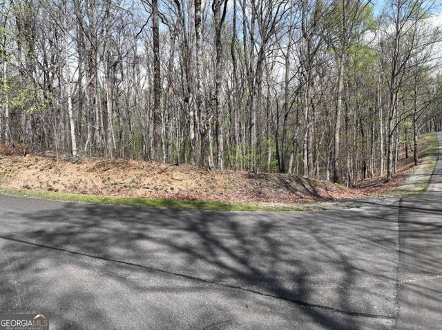 189 St Andrews Way, Ellijay, GA 30536
