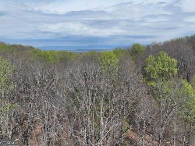189 St Andrews Way, Ellijay, GA 30536