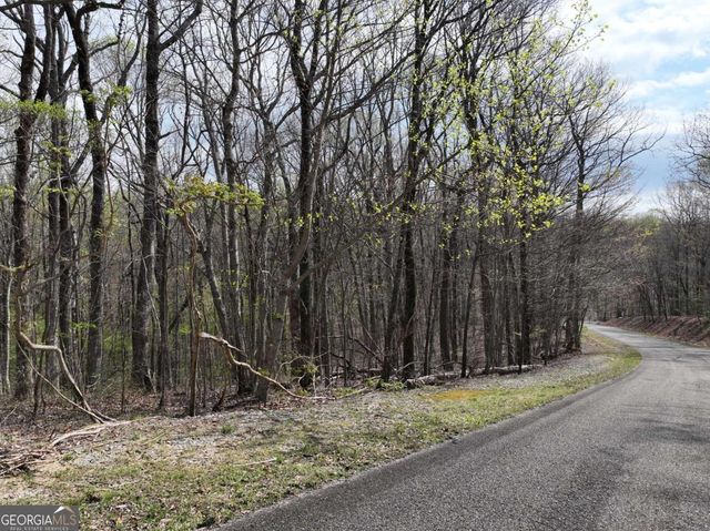 189 St Andrews Way, Ellijay, GA 30536