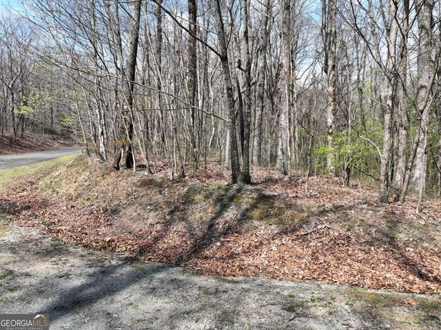 189 St Andrews Way, Ellijay, GA 30536