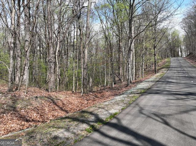 189 St Andrews Way, Ellijay, GA 30536