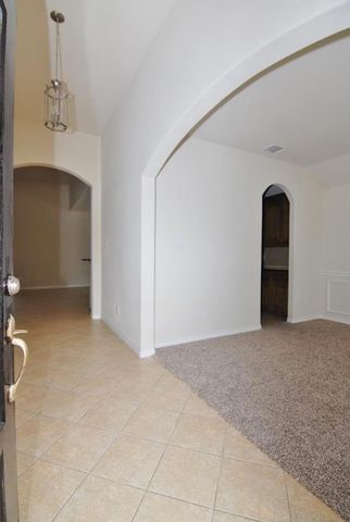 11398 Caladium Lane, Frisco, TX 75035