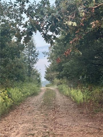 295 Madison 7524, Hindsville, AR 72738