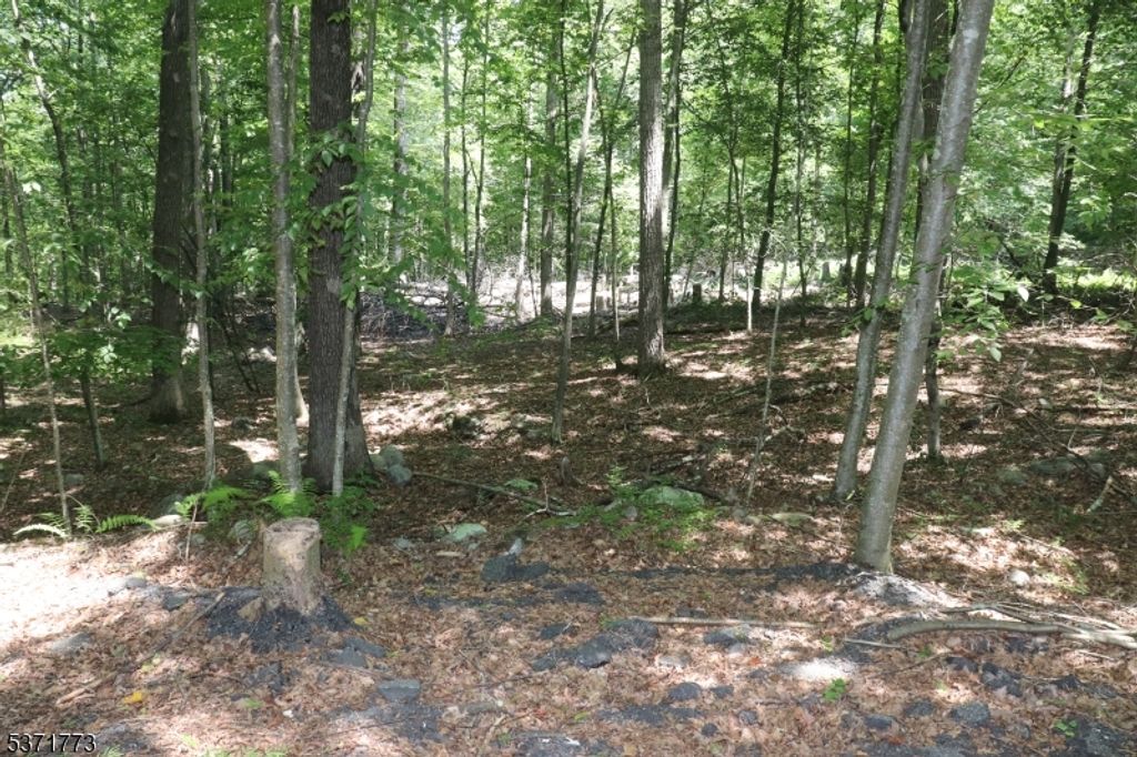 26 Fawn Run, Montague Twp., NJ 07827 — photo 3