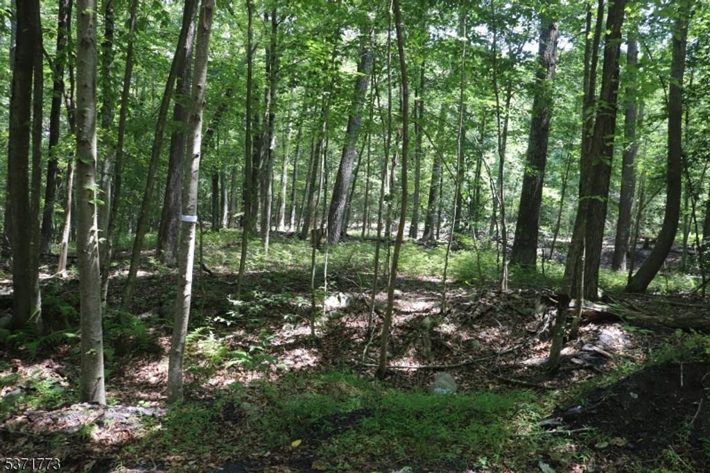 26 Fawn Run, Montague Twp., NJ 07827 — photo 4