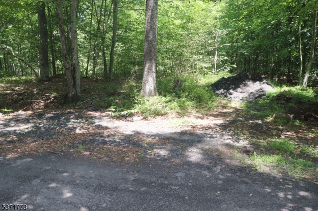 26 Fawn Run, Montague Twp., NJ 07827 — photo 5