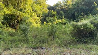 909 Black Street, Walterboro, SC 29488