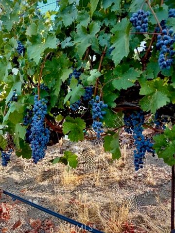 5558 Hoback Glen Road, Hidden Hills, CA 91302