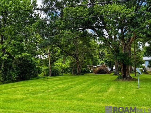 17058 Carpenters Chapel Rd, Prairieville, LA 70769