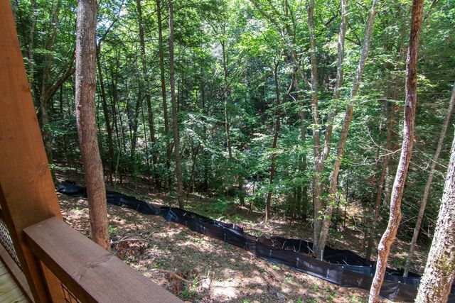 1990 Big Creek, Blue Ridge, GA 30513