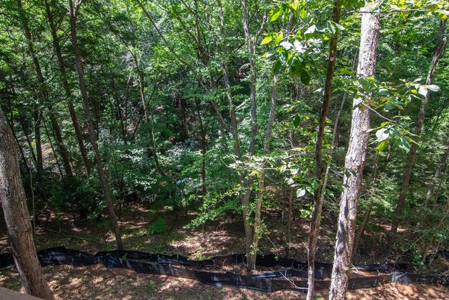 1990 Big Creek, Blue Ridge, GA 30513