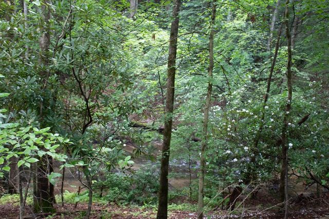 1990 Big Creek, Blue Ridge, GA 30513