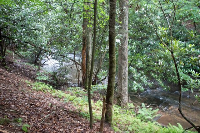 1990 Big Creek, Blue Ridge, GA 30513