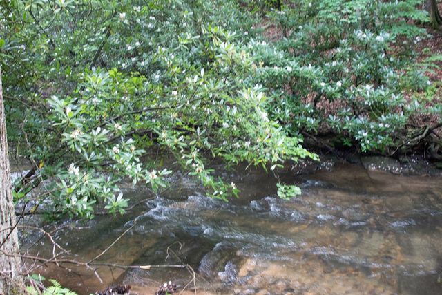 1990 Big Creek, Blue Ridge, GA 30513