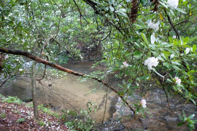 1990 Big Creek, Blue Ridge, GA 30513