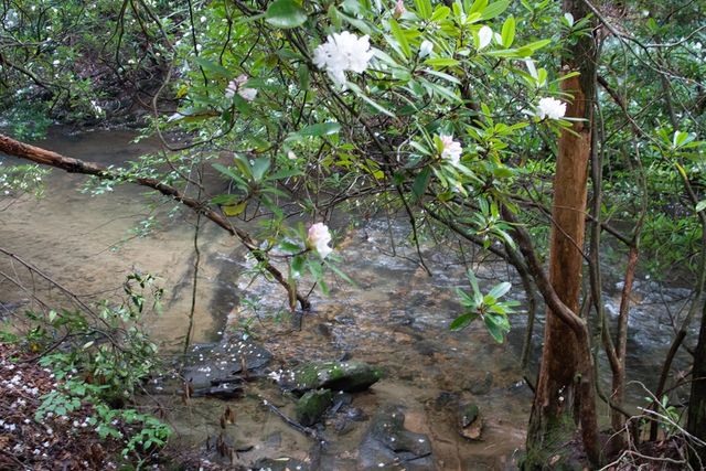 1990 Big Creek, Blue Ridge, GA 30513