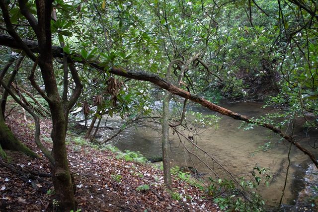 1990 Big Creek, Blue Ridge, GA 30513