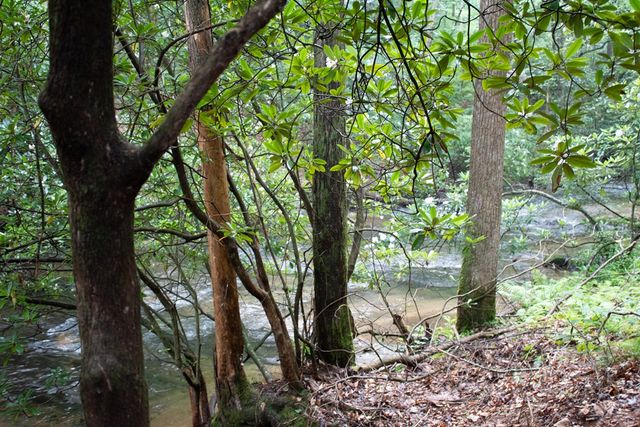 1990 Big Creek, Blue Ridge, GA 30513