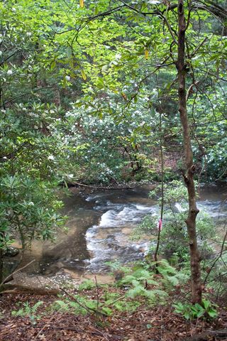 1990 Big Creek, Blue Ridge, GA 30513