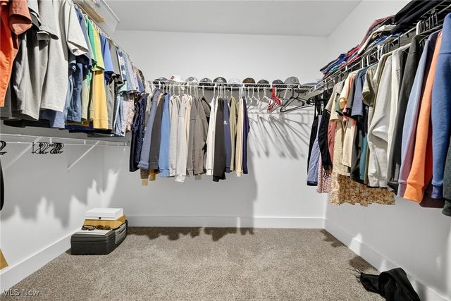 8960 Leatherleaf Drive, Columbia Station, OH 44028