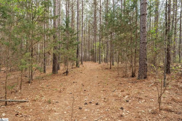 105 Greenville Church Road, Donalds, SC 29638