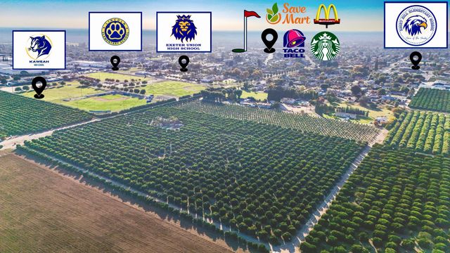 1435 E Palm Drive, Exeter, CA 93221