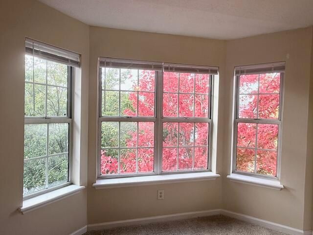 421 Windfield Place, Lexington, KY 40517