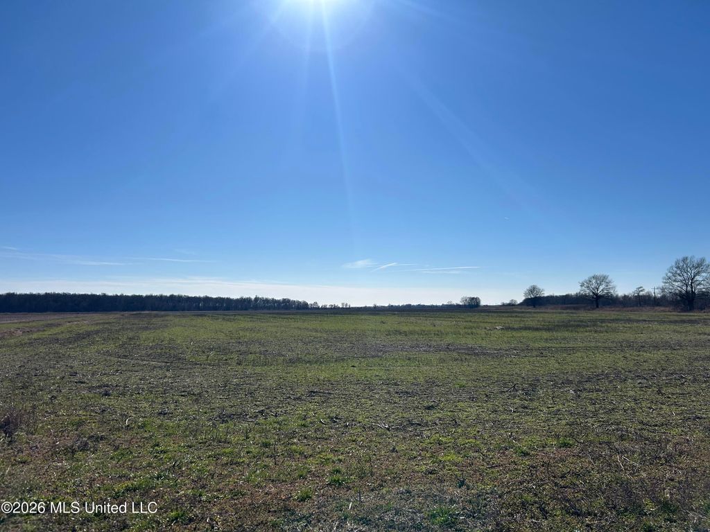 S Highway 61, Dundee, MS 38626 — photo 5