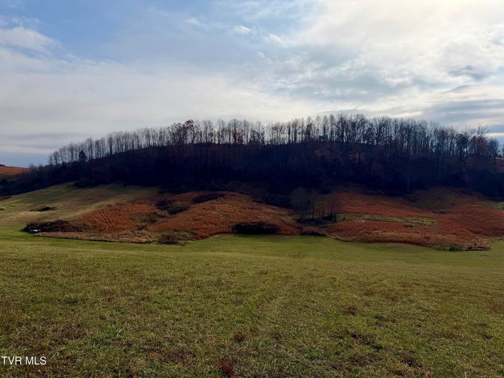 Tbd Thomas Lane, Bluff City, TN 37618