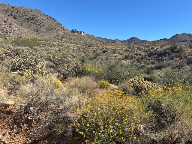 031 N So Hi Boulevard, Golden Valley, AZ 86413