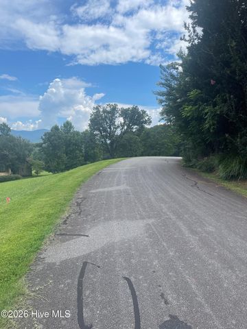Lot 22c Ash Branch Circle, Hayesville, NC 28904