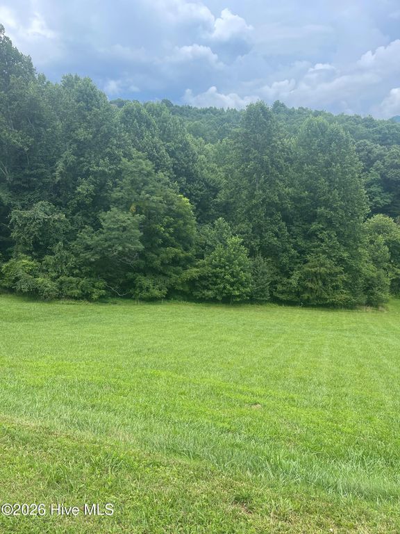 Lot 22c Ash Branch Circle, Hayesville, NC 28904