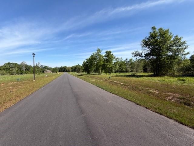 0 Sandy Creek Lane, Mobile, AL 36695