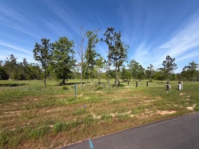 0 Sandy Creek Lane, Mobile, AL 36695