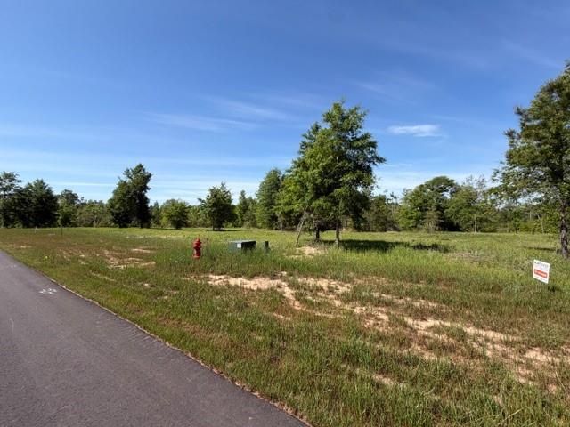 0 Sandy Creek Lane, Mobile, AL 36695