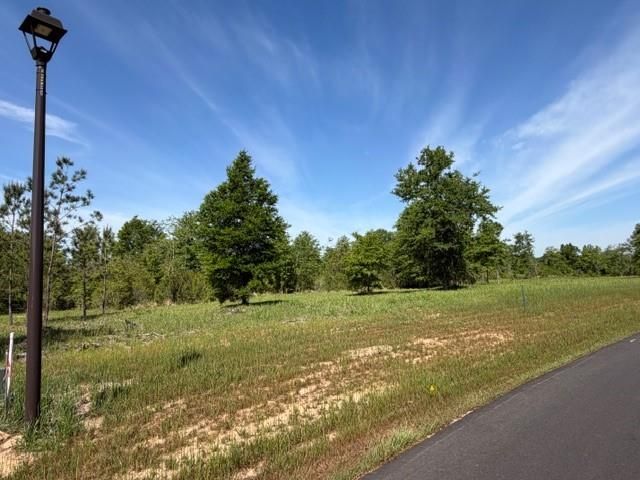 0 Sandy Creek Lane, Mobile, AL 36695