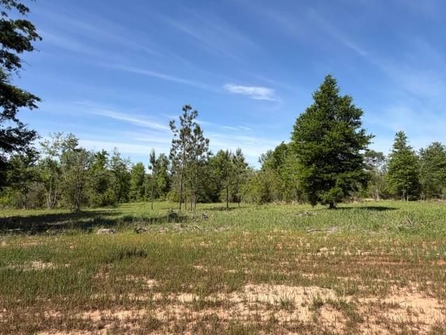 0 Sandy Creek Lane, Mobile, AL 36695