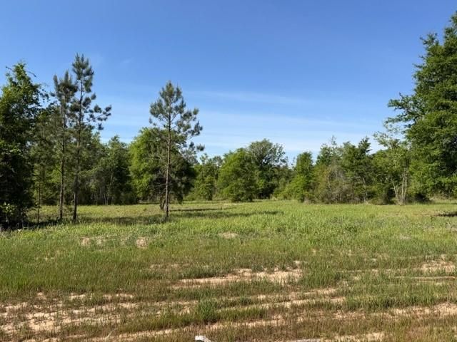 0 Sandy Creek Lane, Mobile, AL 36695