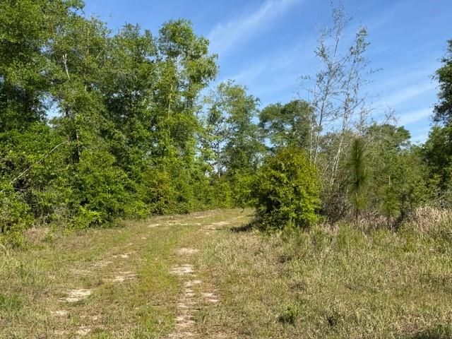 0 Sandy Creek Lane, Mobile, AL 36695